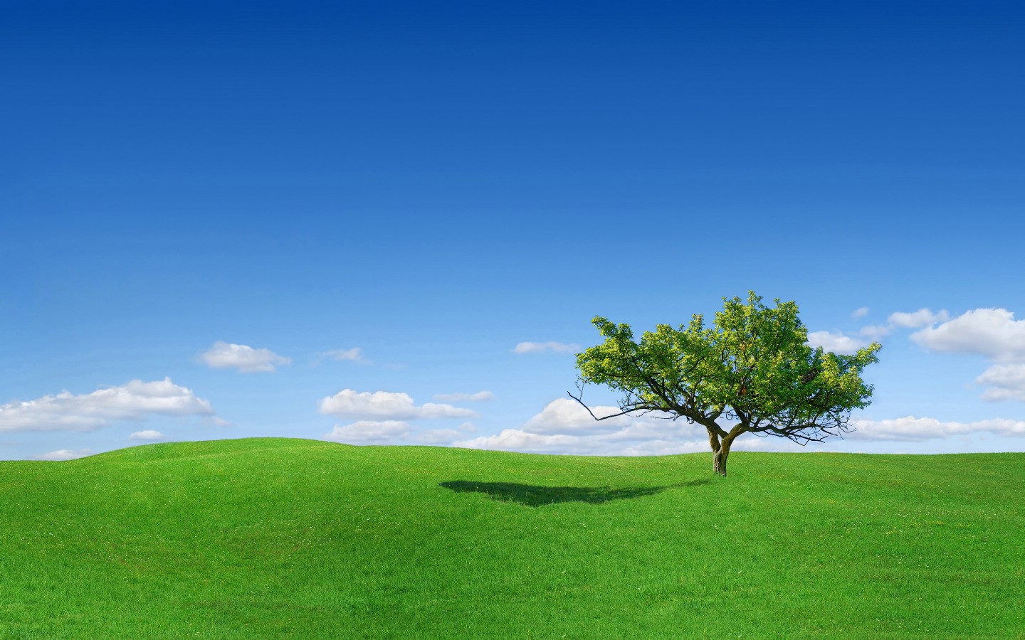 2 free-download-amazing-dual-screenwidescreen-wallpapers-ii-44-off