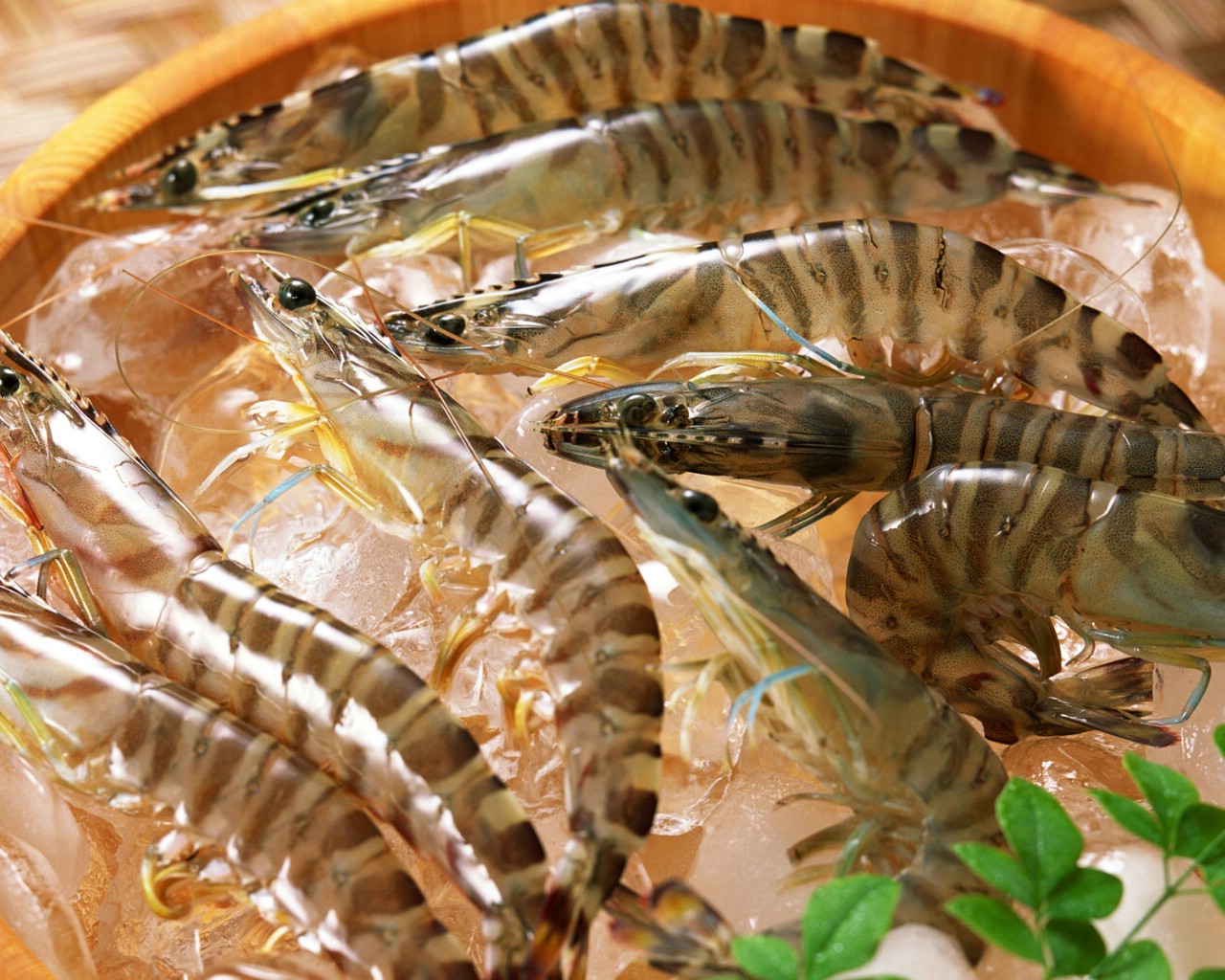 壁纸1280×1024海鲜美食 2 2壁纸,海鲜美食壁纸图片-美食壁纸-美食图片素材-桌面壁纸